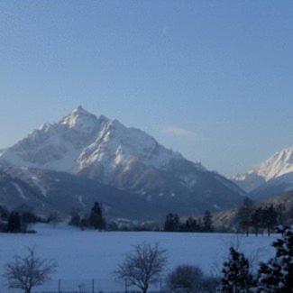 Haus Angelika - Bed & Breakfast - Innsbruck/Igls Екстер'єр фото